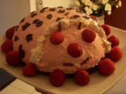 Erdbeer-Quark-Käfer - Rezept