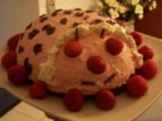 Erdbeer-Quark-Käfer - Rezept