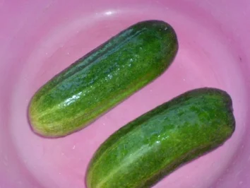 Schüttel-Gurken - Rezept - Bild Nr. 7