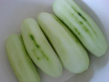 Schüttel-Gurken - Rezept - Bild Nr. 8