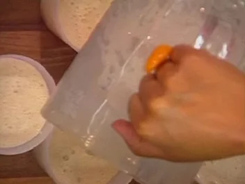 Nektarinenshake mit Vanille - Rezept