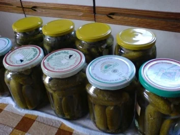 Rezept: Gewürzgurken-saure Gurken Bild Nr. 9 Gewürzgurken-saure Gurken - Rezept - Bild Nr. 9