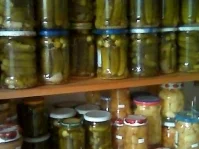 Rezept: Gewürzgurken-saure Gurken Bild Nr. 10 Gewürzgurken-saure Gurken - Rezept - Bild Nr. 10