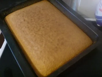 Rezept: Selterwasserkuchen auch als Muffin Bild Nr. 11 Selterwasserkuchen auch als Muffin - Rezept - Bild Nr. 11