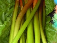 Rhabarberkuchen - Rezept - Bild Nr. 2