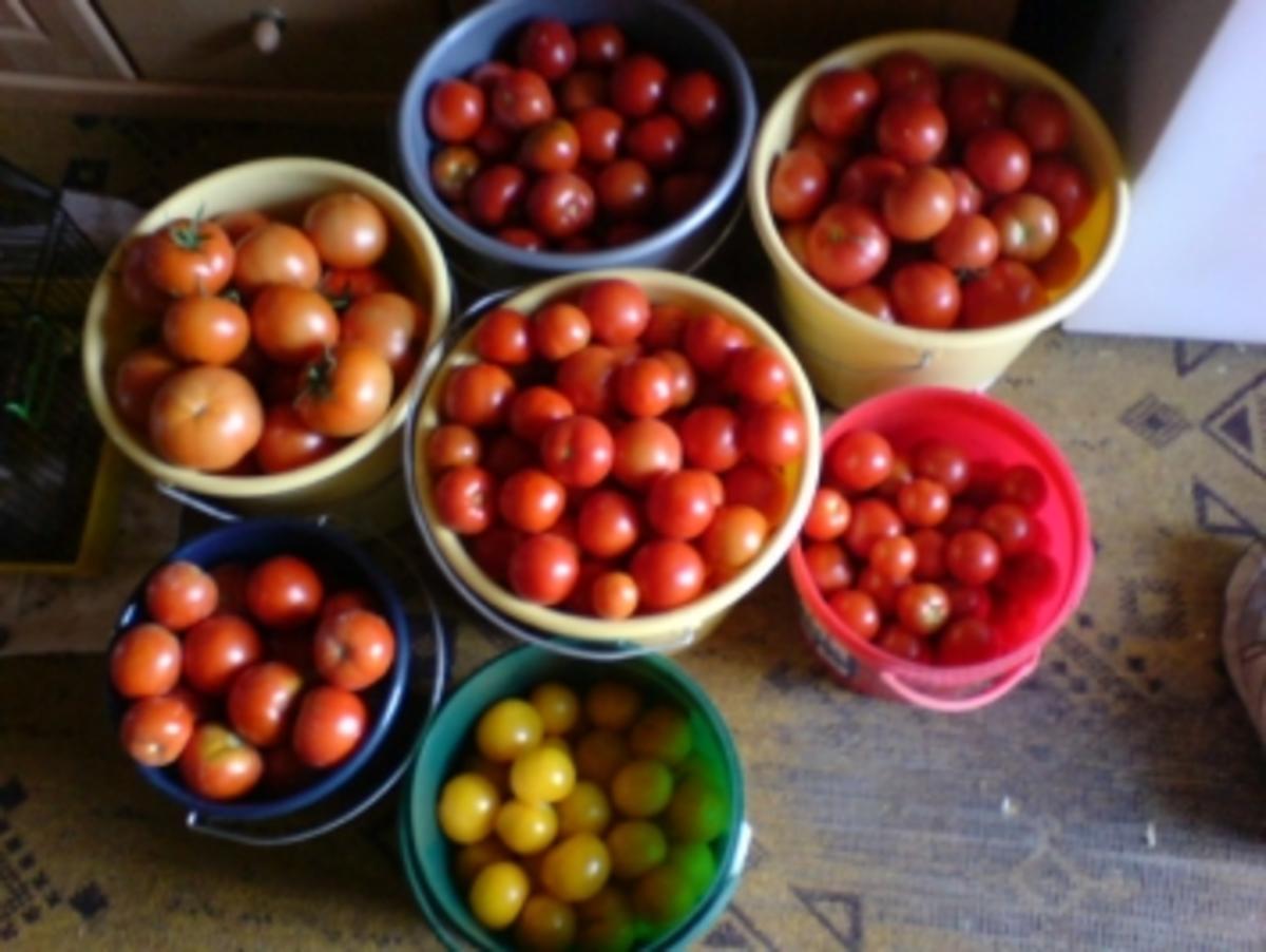 Tomatensalat - Rezept - Bild Nr. 9