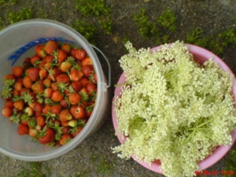 Holunderblüten Gelee - einfach - von loewe_bs