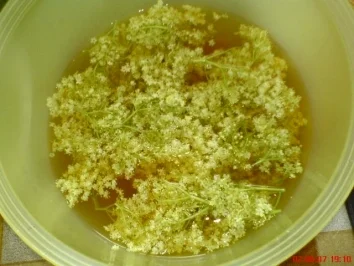 Holunderblüten-Gelee - Rezept - Bild Nr. 5