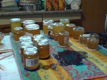 Holunderblüten-Gelee - Rezept - Bild Nr. 8