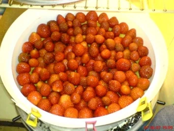 Erdbeertorte - Rezept - Bild Nr. 17