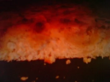 Rezept: Bienenstich Bild Nr. 4 Bienenstich - Rezept - Bild Nr. 4