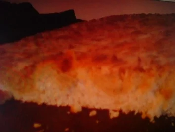 Rezept: Bienenstich Bild Nr. 5 Bienenstich - Rezept - Bild Nr. 5