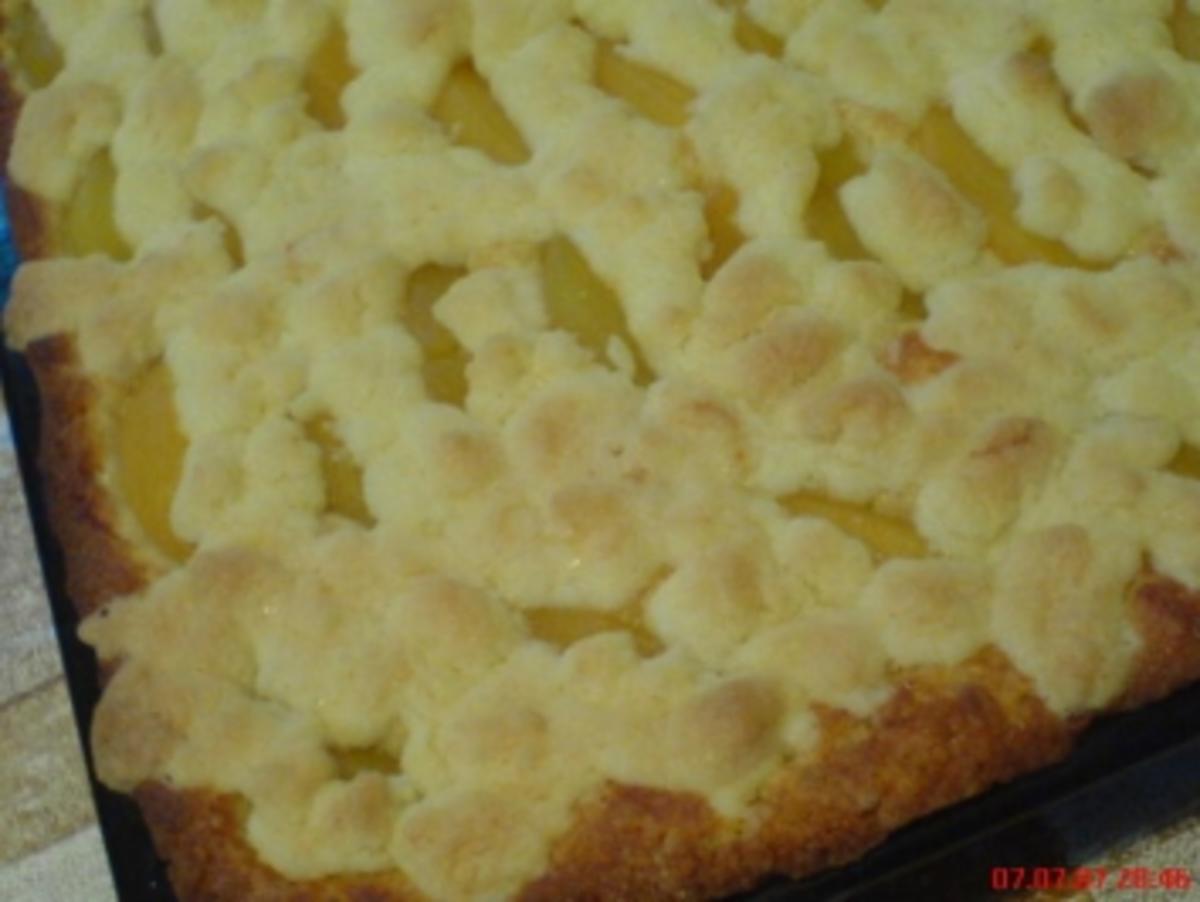 Aprikosen-Streusel-Kuchen - Rezept - Bild Nr. 5