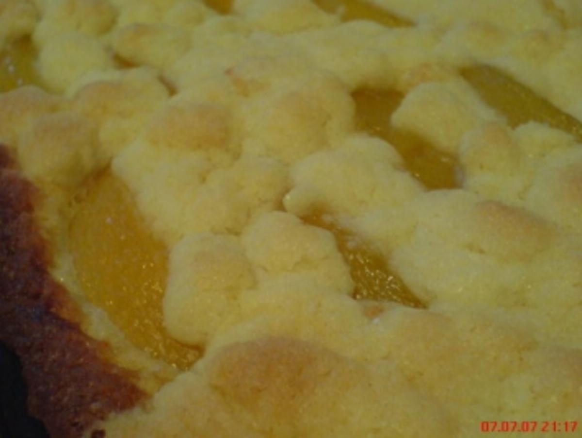 Aprikosen-Streusel-Kuchen - Rezept - Bild Nr. 6