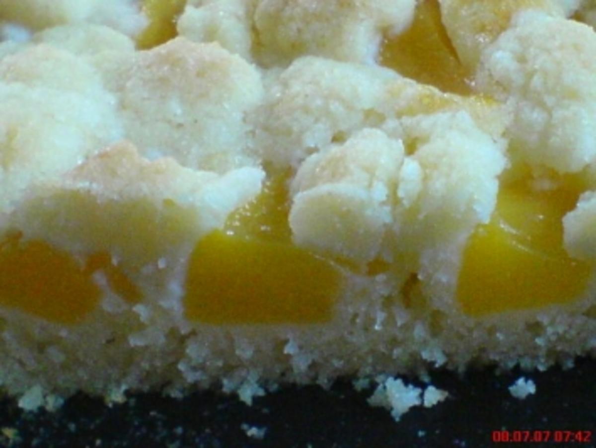 Aprikosen-Streusel-Kuchen - Rezept mit Bild - kochbar.de