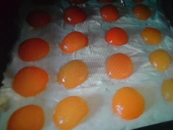 Aprikosen-Quarkkuchen - Rezept - Bild Nr. 12