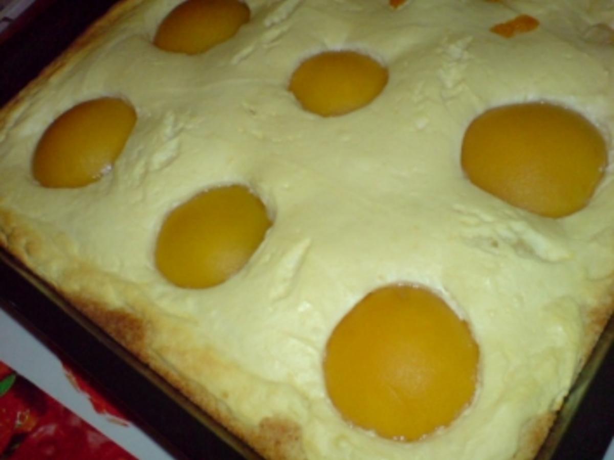 Aprikosen-Quarkkuchen - Rezept mit Bild - kochbar.de