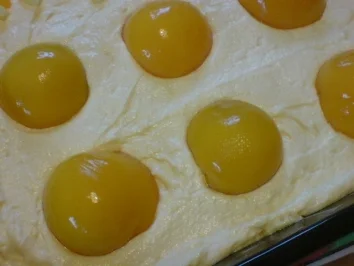Aprikosen-Quarkkuchen - Rezept - Bild Nr. 8