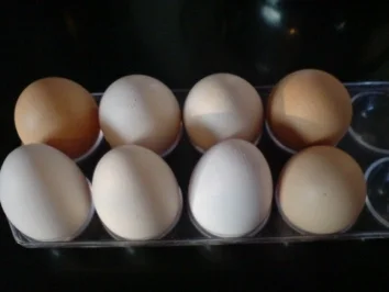 Rührei mit Zwiebeln - Rezept - Bild Nr. 3