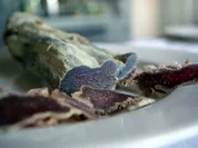 Biltong - Rezept