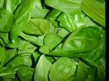 Rezept: Knusprige Dorade mit Orangensauce Bild Nr. 4 Knusprige Dorade mit Orangensauce - Rezept - Bild Nr. 4