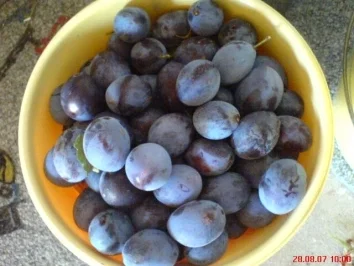 Pflaumen-Streusel-Kuchen - Rezept - Bild Nr. 16