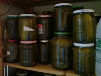 Salzgurken auf die schnelle Art - Rezept - Bild Nr. 4