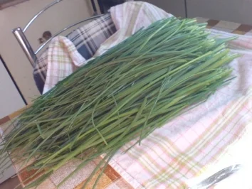 Pellkartoffeln mit Quark - Rezept - Bild Nr. 4