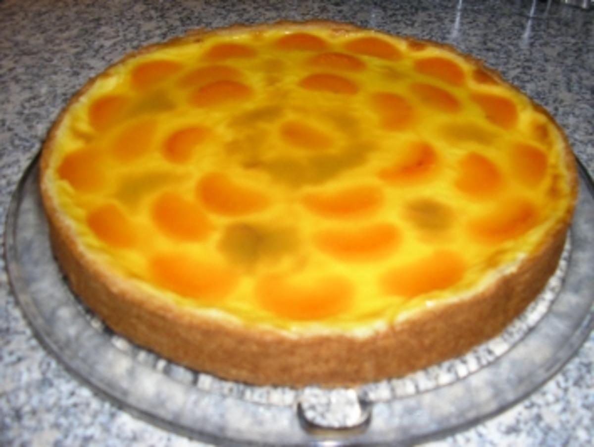Mandarinen-Puddingcreme-Torte - Rezept