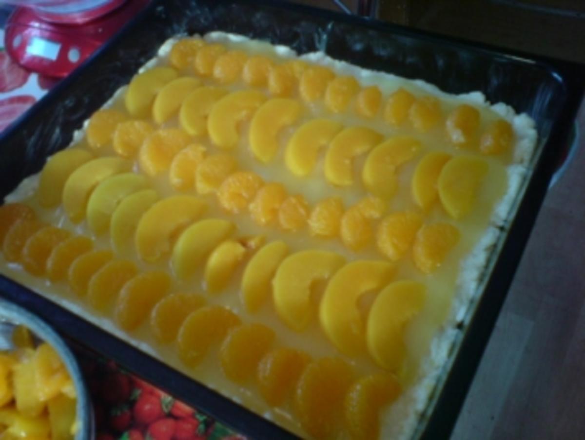 Mandarinen-Aprikosen-Kuchen - Rezept - Bild Nr. 13