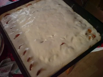 Mandarinen-Aprikosen-Kuchen - Rezept - Bild Nr. 15