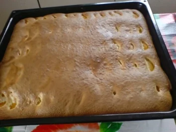 Mandarinen-Aprikosen-Kuchen - Rezept - Bild Nr. 17