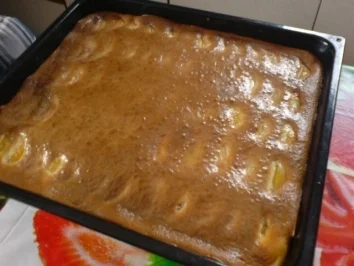 Mandarinen-Aprikosen-Kuchen - Rezept - Bild Nr. 19