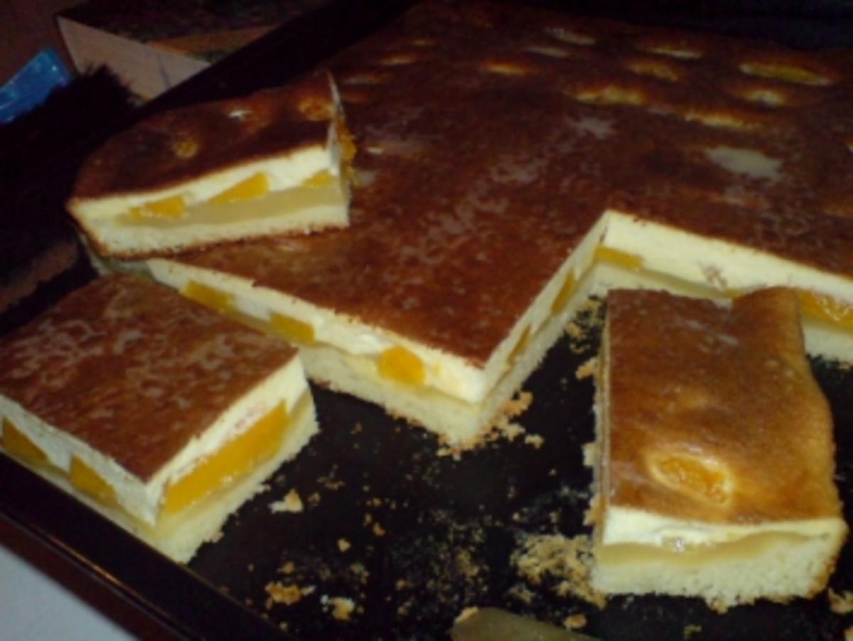 Mandarinen-Aprikosen-Kuchen - Rezept - Bild Nr. 20