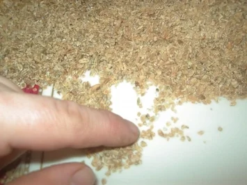 Eintopf vom Hähnchen an geräuchertem Grünkern - Freekeh - Rezept