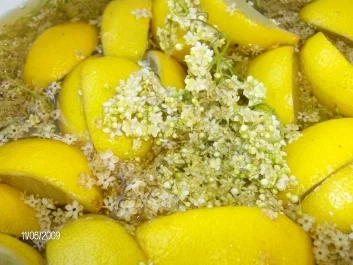 Rezept: Holunderblütensirup Bild Nr. 2 Holunderblütensirup - Rezept - Bild Nr. 2
