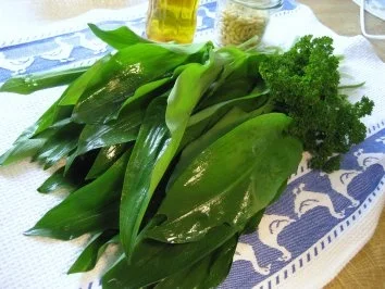 Rezept: Bärlauchpesto 2008 Bild Nr. 2 Bärlauchpesto 2008 - Rezept - Bild Nr. 2