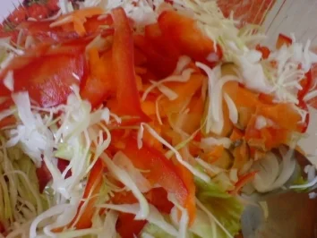 Zigeunersalat - Rezept - Bild Nr. 11