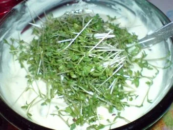 Rezept: Kressequark Bild Nr. 7 Kressequark - Rezept - Bild Nr. 7