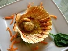 Rezept: Gratinierte Jakobsmuscheln mit Safran Gratinierte Jakobsmuscheln mit Safran - Rezept