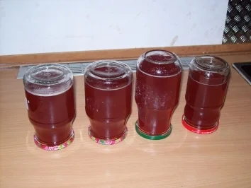 Rezept: Gelee aus Fruchtsäften Gelee aus Fruchtsäften - Rezept