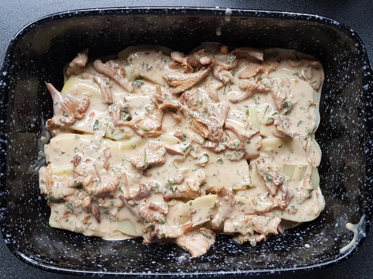 Rezept: Kartoffel-Pfifferling-Gratin Bild Nr. 5 Kartoffel-Pfifferling-Gratin - Rezept - Bild Nr. 5