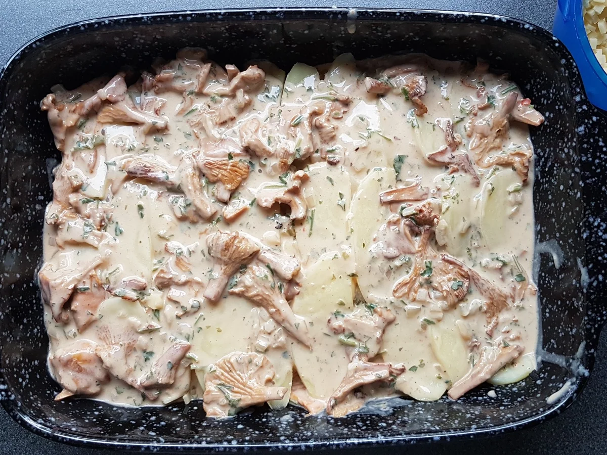 Rezept: Kartoffel-Pfifferling-Gratin Bild Nr. 8 Kartoffel-Pfifferling-Gratin - Rezept - Bild Nr. 8