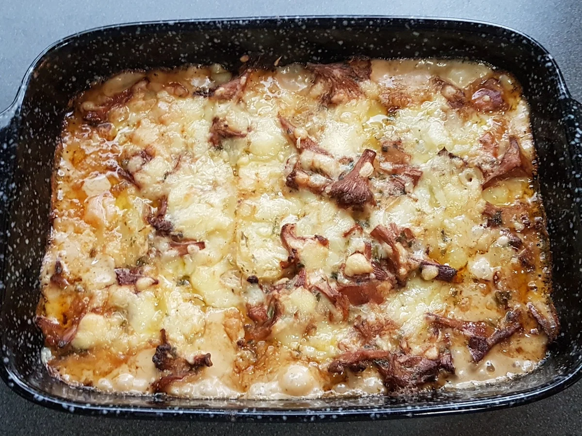 Rezept: Kartoffel-Pfifferling-Gratin Bild Nr. 9 Kartoffel-Pfifferling-Gratin - Rezept - Bild Nr. 9