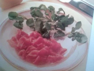 Carpaccio vom Rind mit Senfsauce - Rezept