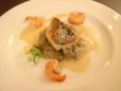 Zanderfilet auf Chicoree - Rezept