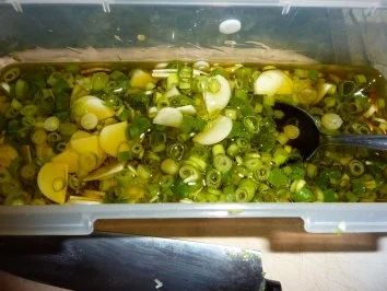 Rezept: Beilagen: Eingelegter Mozzarella Bild Nr. 4 Beilagen: Eingelegter Mozzarella - Rezept - Bild Nr. 4