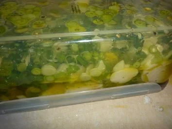 Rezept: Beilagen: Eingelegter Mozzarella Bild Nr. 5 Beilagen: Eingelegter Mozzarella - Rezept - Bild Nr. 5