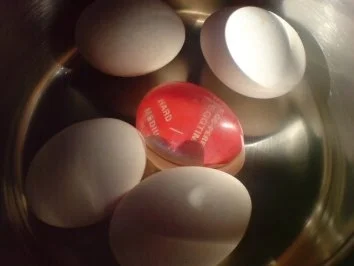 Rezept: Truthahnrouladen Bild Nr. 4 Truthahnrouladen - Rezept - Bild Nr. 4