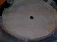 *Reutlinger Fleischpastete  auch SCHIEDWECKEN  genannt - Rezept